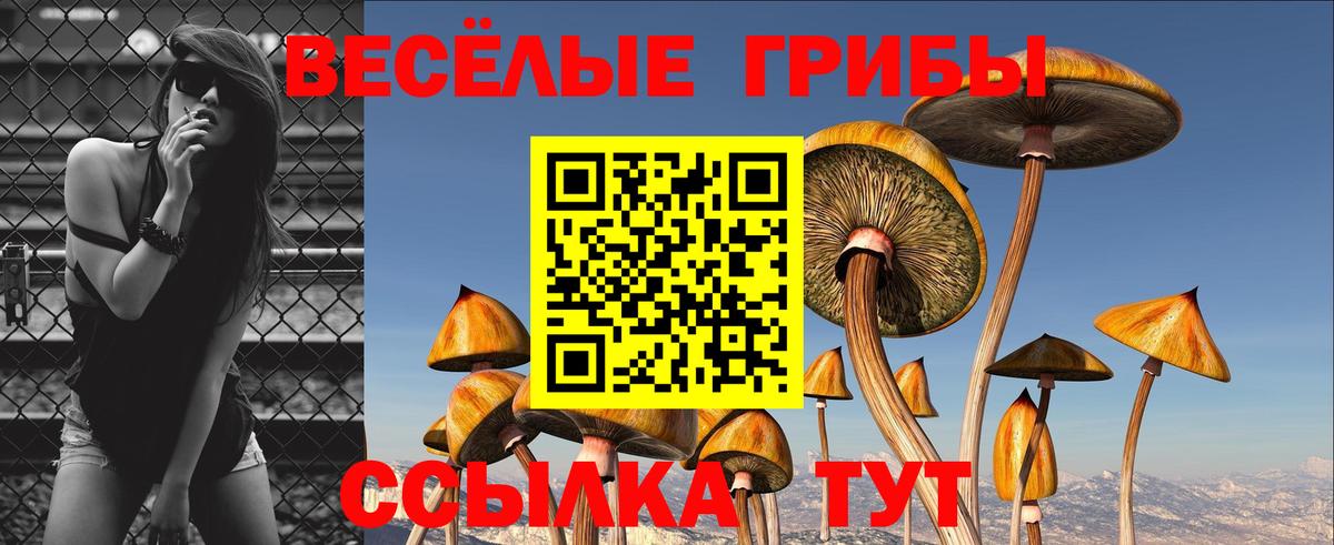 Галлюциногенные грибы мицелий Людиново